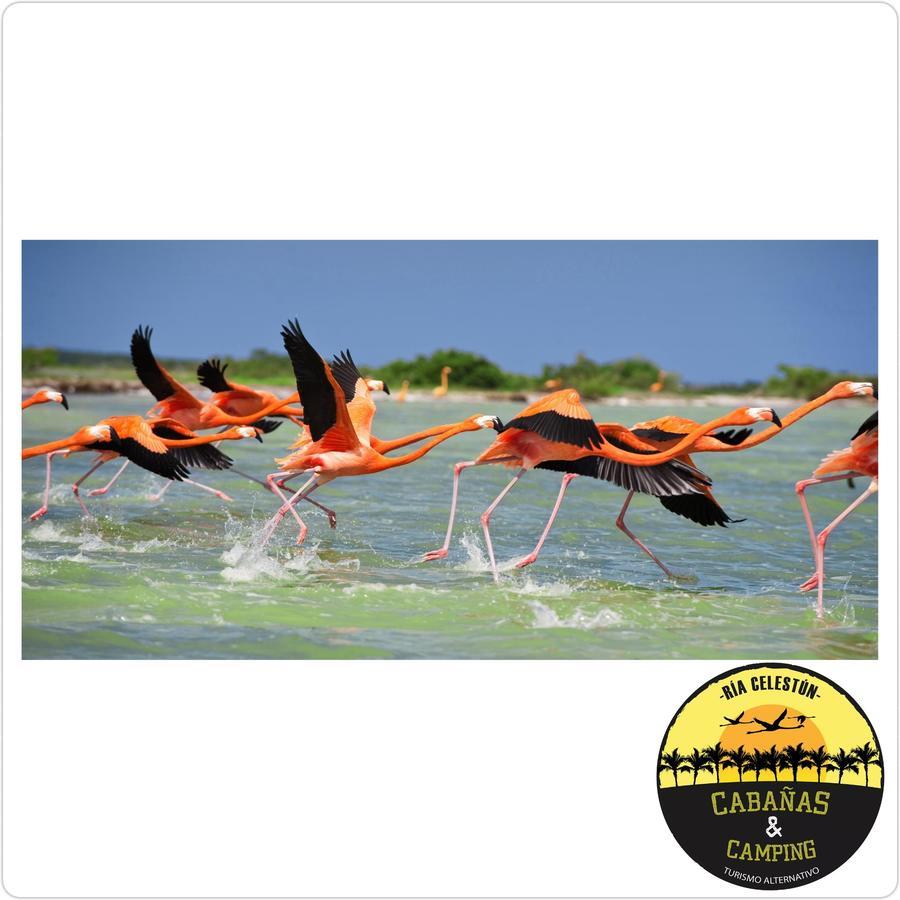 Cabanas Camping Ria Celestun Εξωτερικό φωτογραφία